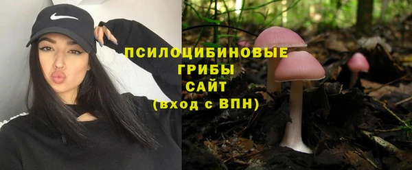 не бодяженный Белокуриха